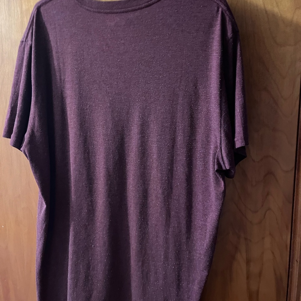 American Eagle Short Sleeve T Shirt (Marronish color)